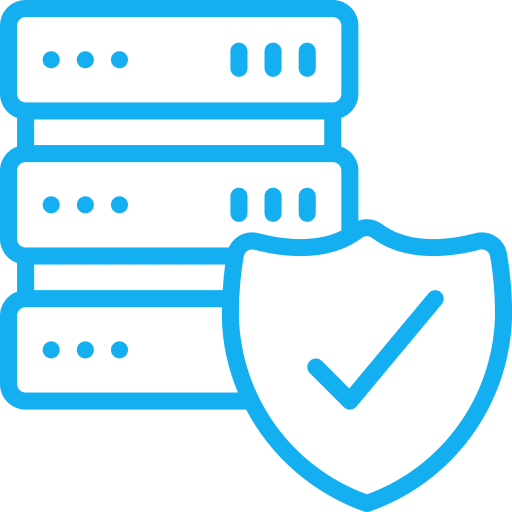 Data Security Icon