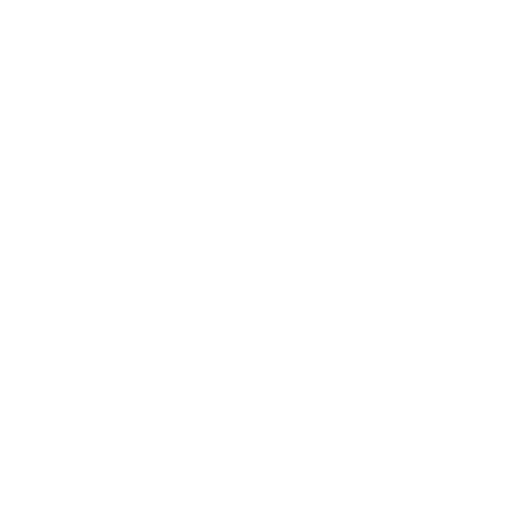 Instagram Ads Icon